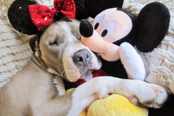 GoFundMe Campaign Photo