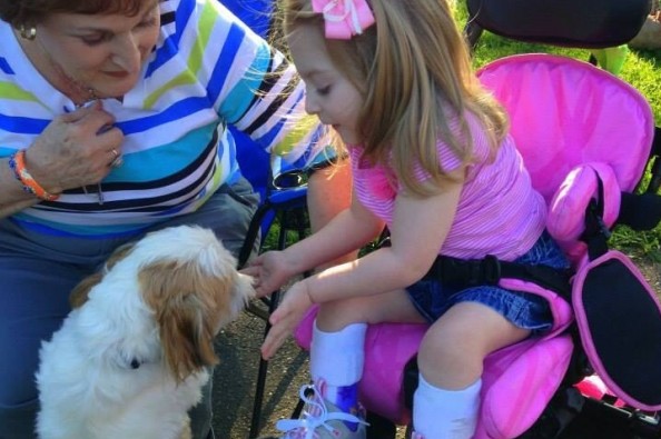 GoFundMe Campaign Photo