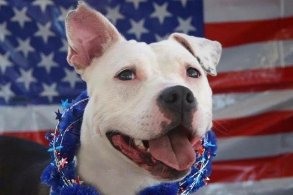 GoFundMe Campaign Photo